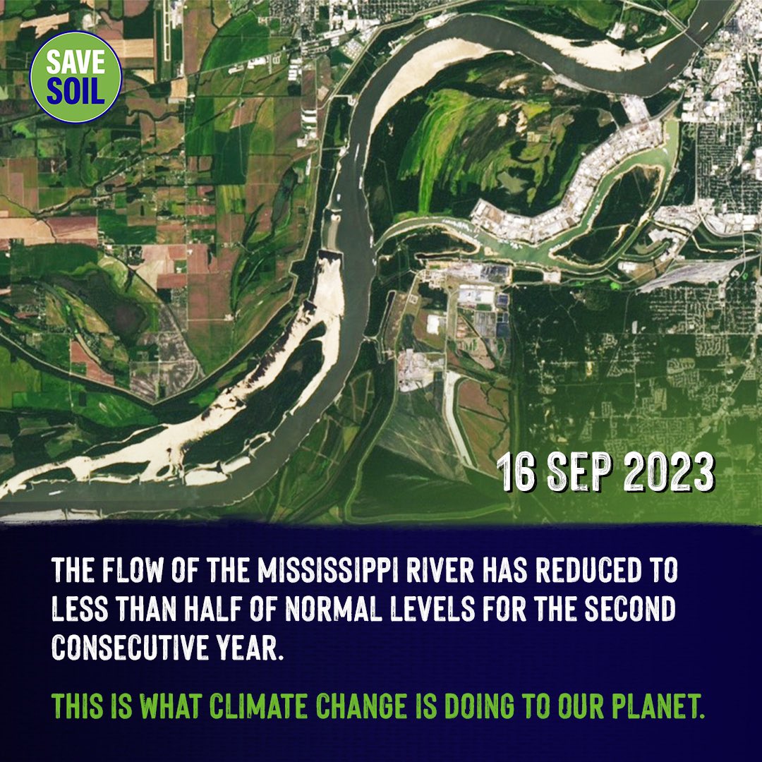 Conscious Planet #SaveSoil tweet media