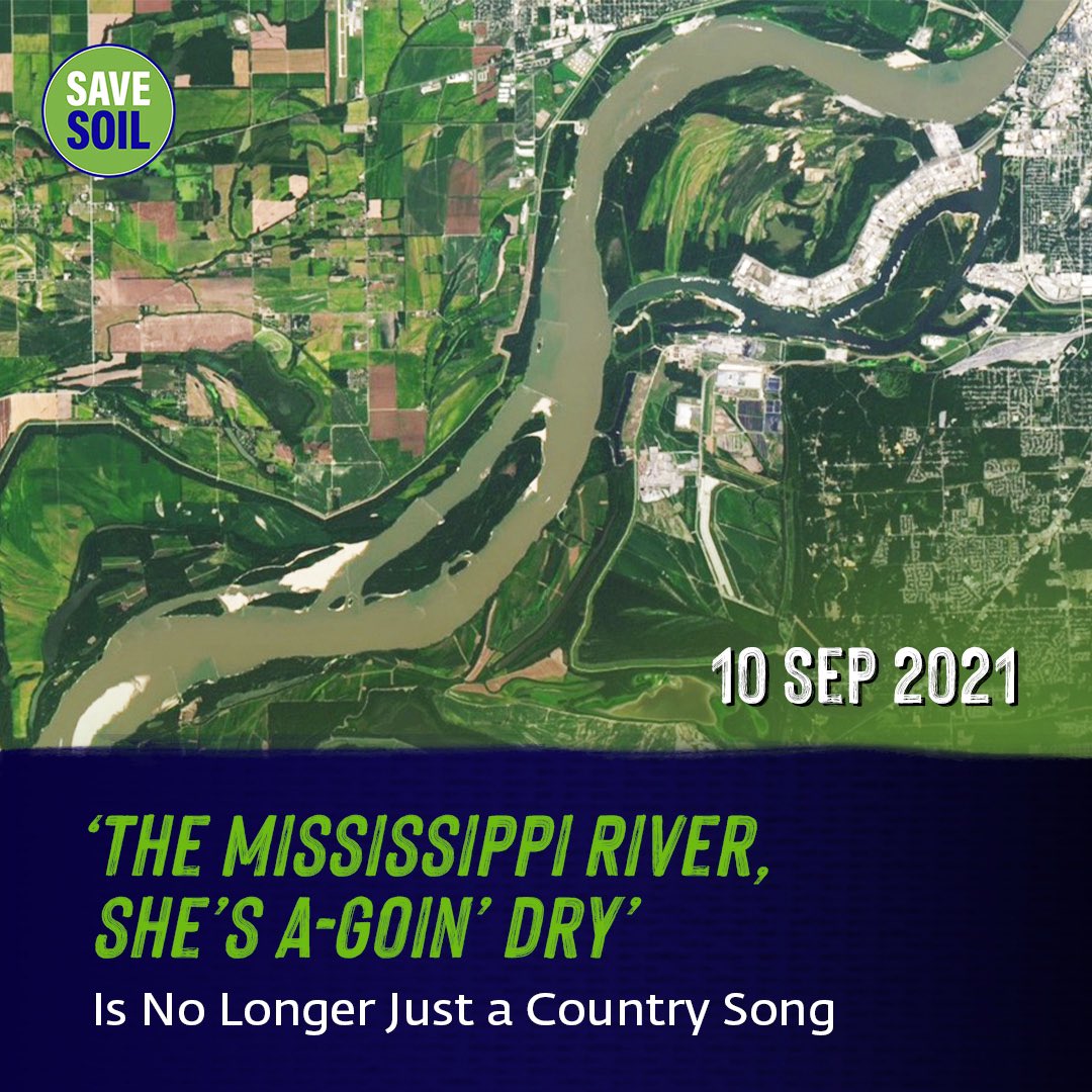 Conscious Planet #SaveSoil tweet media