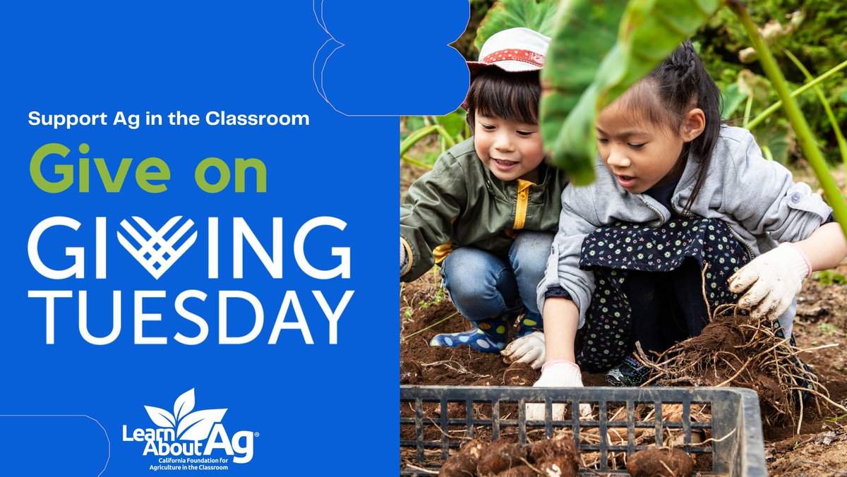 Without farms and ranches, there would be nothing on our plates! 🍽 Join the Giving Tuesday movement and help us ensure that students know where their food and fiber come from! Donate to Ag in the Classroom today:
cfaitc.app.neoncrm.com/np/clients/cfa…