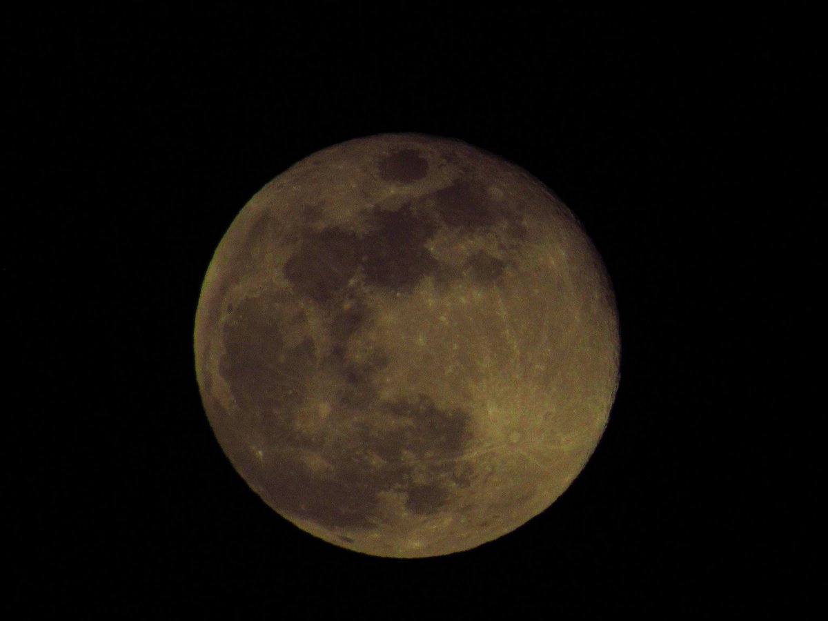 _mtolp's tweet photo. Belleza de luna llena de castor, impresionante como cada día y en todas sus fases 🌕
#luna #lunallena #lunadecastor #BeaverMoon #Moon #fullmoon https://t.co/1KVIDMhiEV