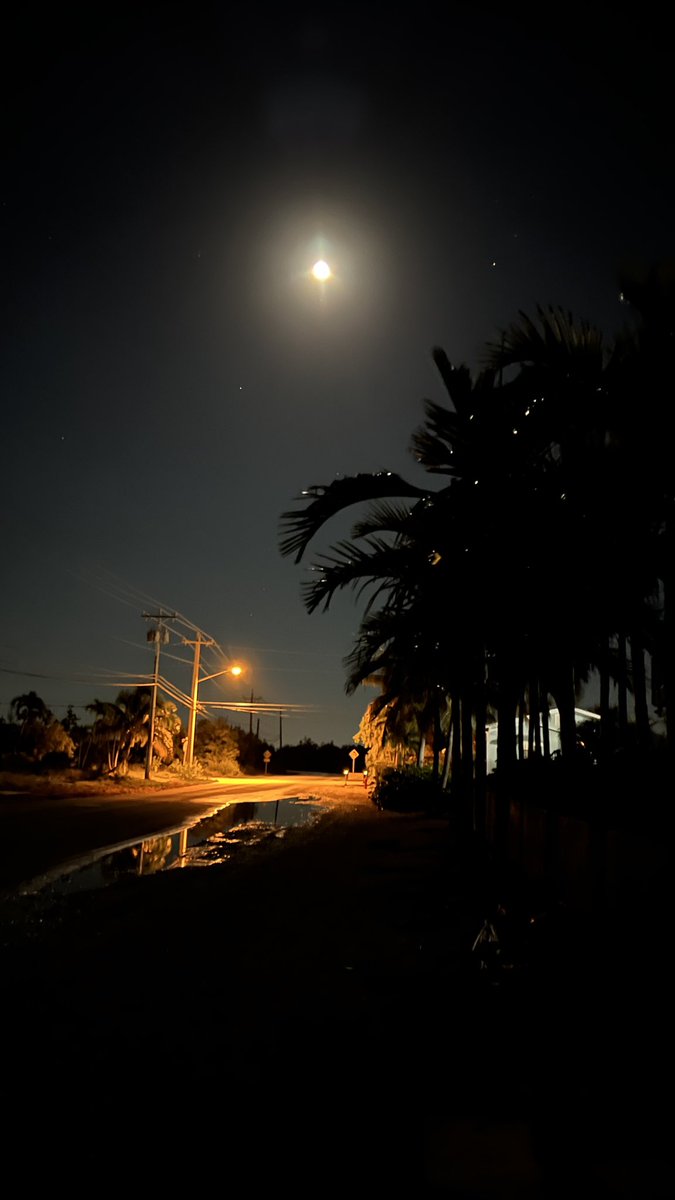 barbiedoll_eyw's tweet photo. Great night for a walk to check my neighbors mail #geigerkey #moonrise#keywest #flkeys #flwx https://t.co/74yX1r7VrG