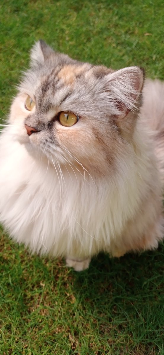 Hello Dear All, I am back after a long break. Now let me know how I am looking?