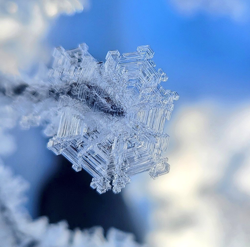 Rad things found on cold days in the woods! Hoar frost.