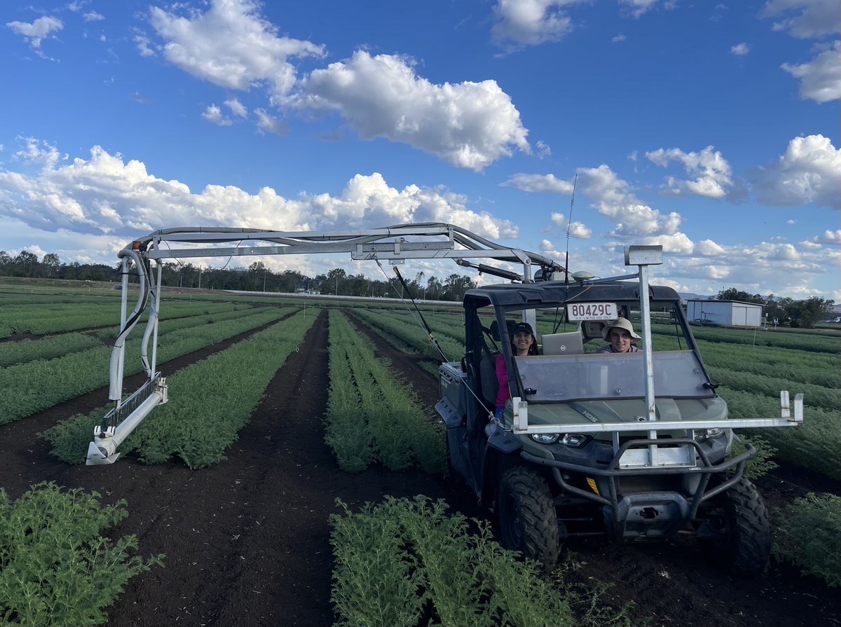 Dongxue Zhao (@dongxue_zhao) on Twitter photo New PhD scholarship opportunity on High-throughput root phenotyping!
Crop improvement and drought tolerance: the roots of the solution. study.uq.edu.au/study-options/…
To apply, email a cover letter and CV:
dongxue.zhao@uq.edu.au
<a href="/QAAFI/">QLD Alliance for Agriculture & Food Innovation</a> <a href="/Queensland_FSR/">UQ Farming Systems Group</a> New PhD scholarship opportunity on High-throughput root phenotyping!
Crop improvement and drought tolerance: the roots of the solution. study.uq.edu.au/study-options/…
To apply, email a cover letter and CV:
dongxue.zhao@uq.edu.au
<a href="/QAAFI/">QLD Alliance for Agriculture & Food Innovation</a> <a href="/Queensland_FSR/">UQ Farming Systems Group</a>