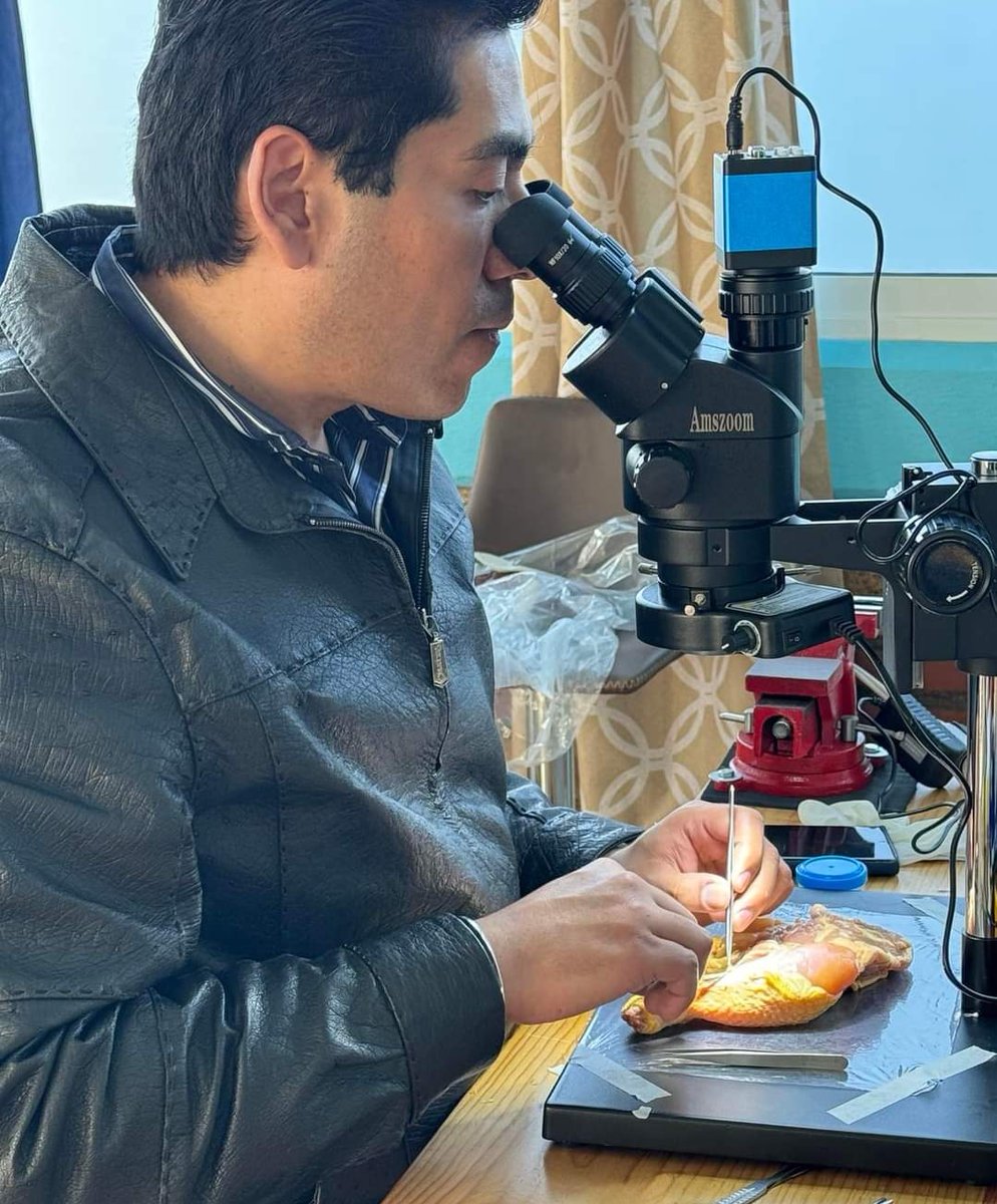 Practicando la microcirugia cerebrovascular, realizando anastomosis arteriales, venosas y nerviosas. Cada ejercicio afina Los movimientos, para hacerlos con más precisión.