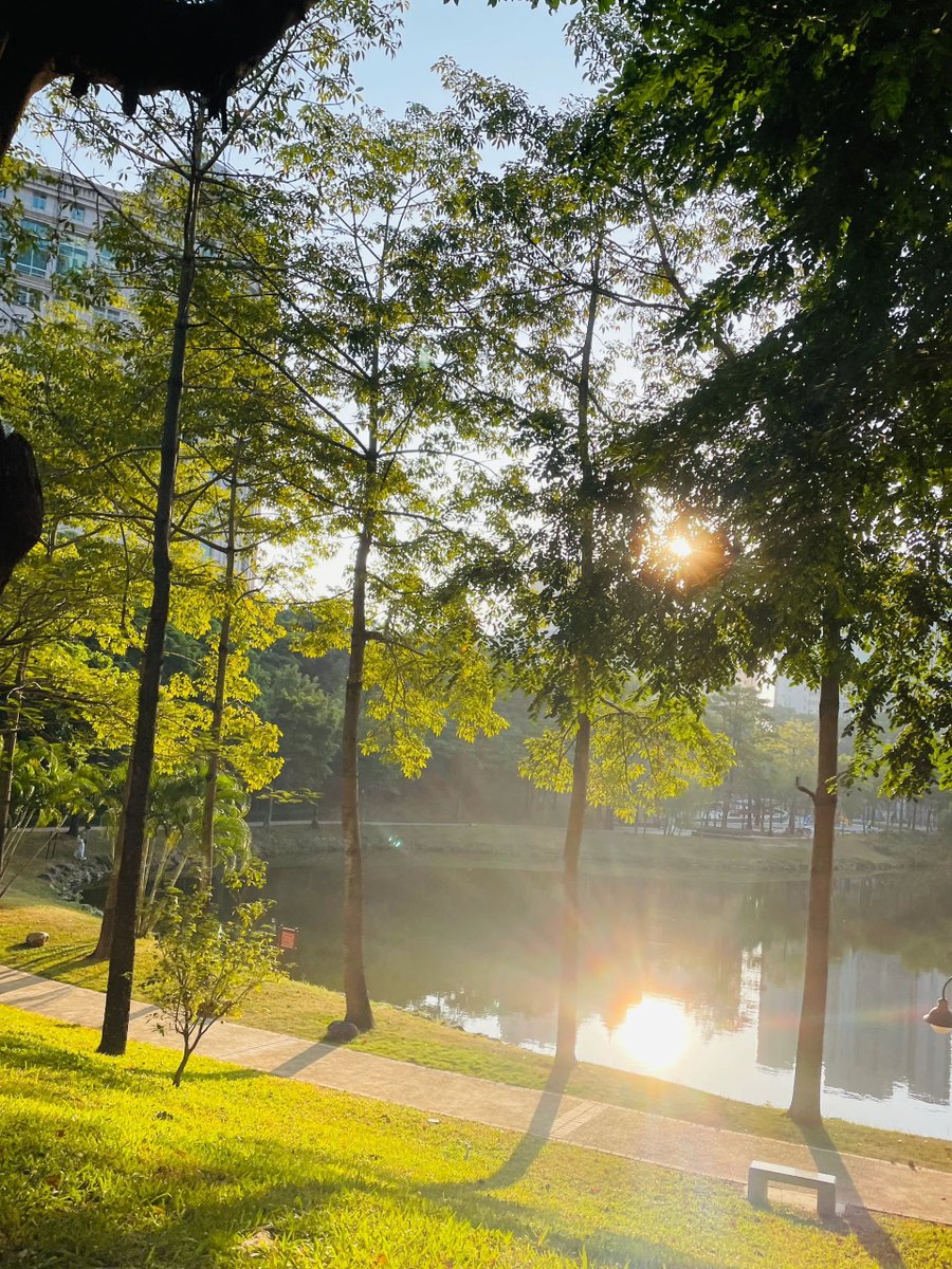 Another morning of running into the sun
It's a nice morning sunshine, run with the sun🏃‍♀️