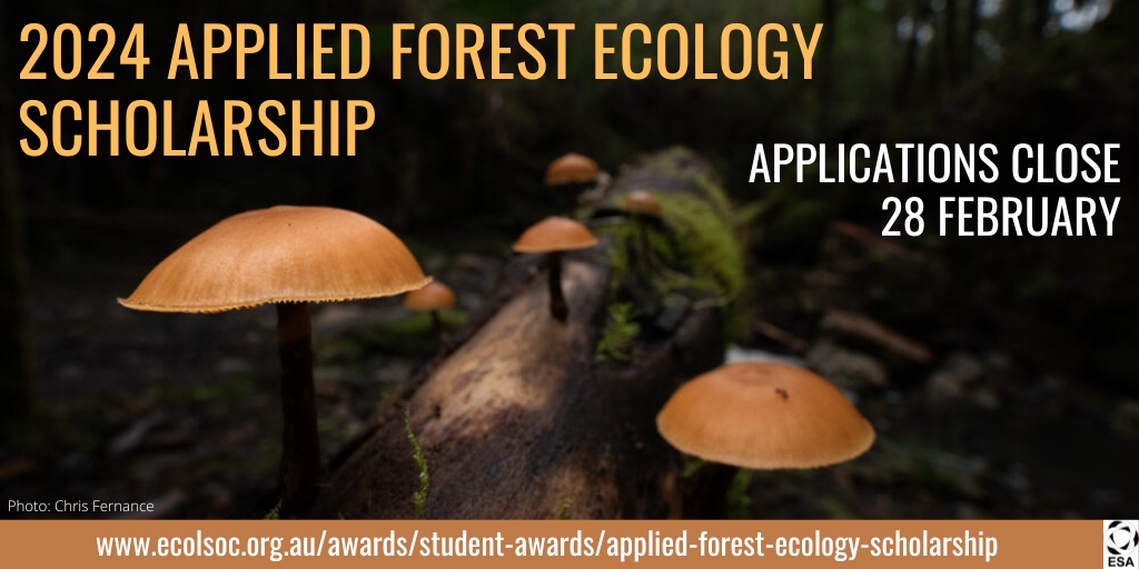 🚨 Honours and Masters level students studying forest management and sustainability! Applications for the 2024 Applied Forest Ecology Scholarship are open.

ecolsoc.org.au/awards/student…

Nominations close 28 February.

📷️: Chris Fernance

#ForestEcology #AppliedEcology