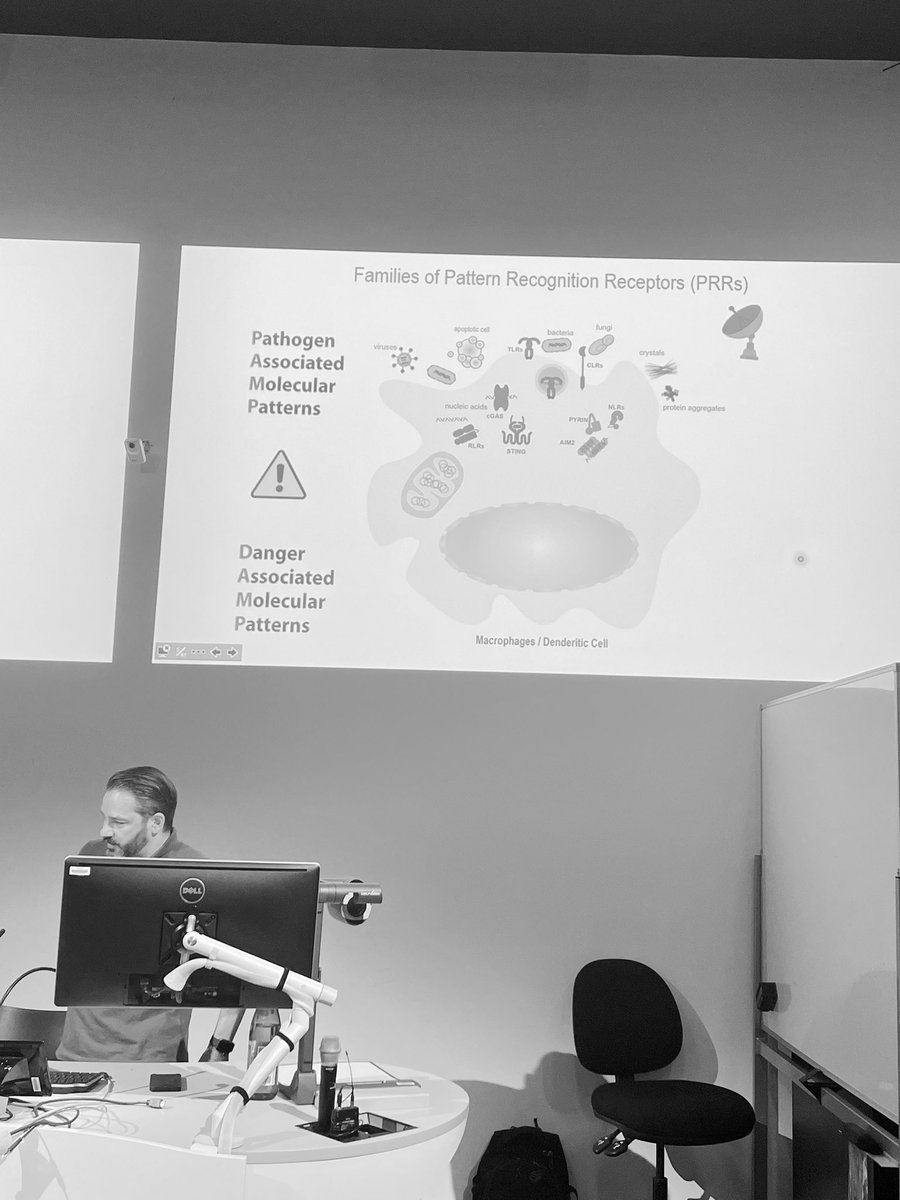 Now hearing from the wonderful <a href="/domdenardo/">Dom De Nardo</a> and all his recent advances in understanding the cellular trafficking of the danger sensor cGAS/STING, using cool imaging approaches to map where it goes and what it does <a href="/MonashBDI/">Monash Biomedicine Discovery Institute</a> <a href="/Monash_FMNHS/">Monash Medicine, Nursing and Health Sciences</a> <a href="/immunity_BDI/">Immunity_BDI_Monash</a> #scienceyeah #immunity
