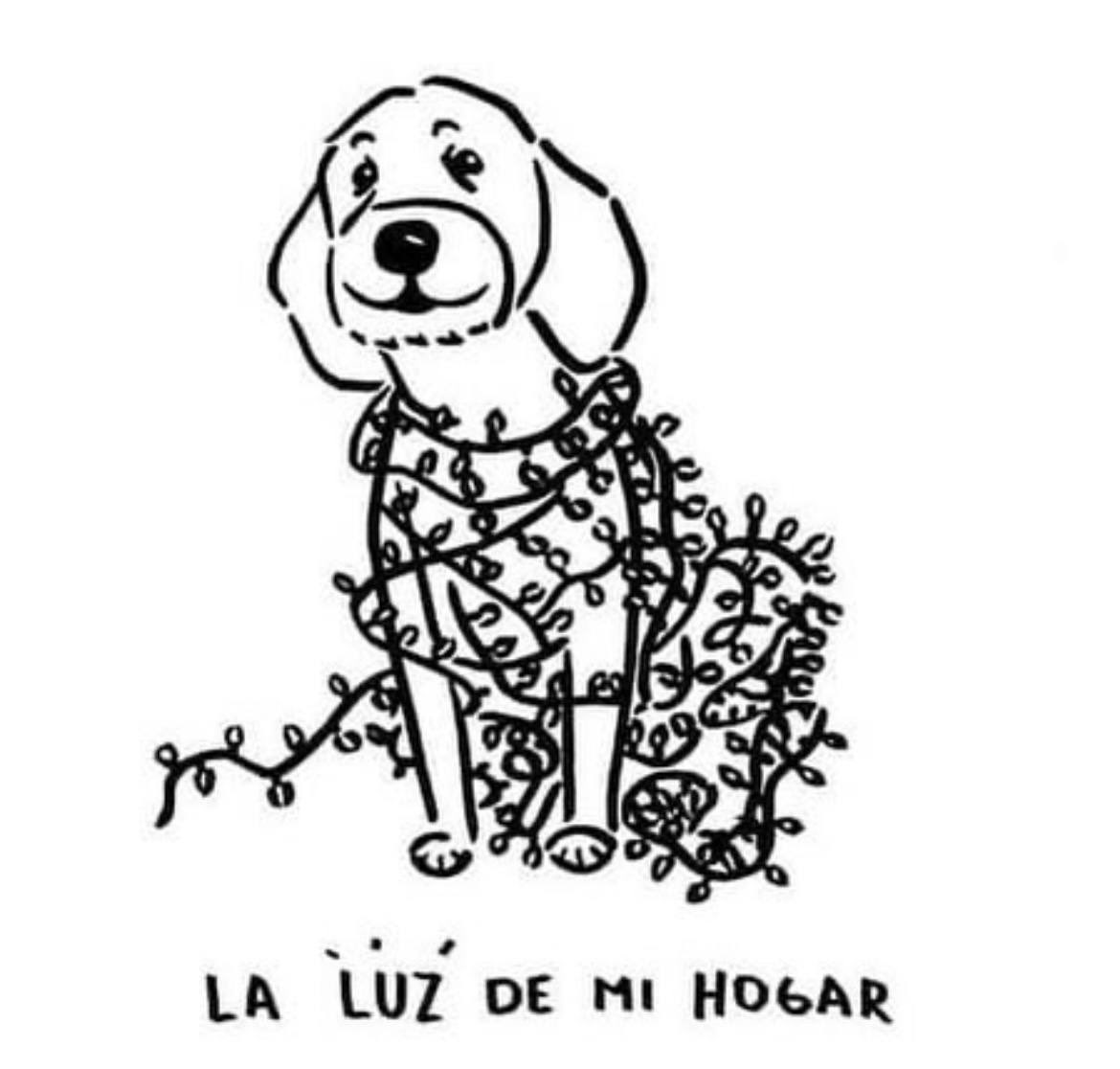 Dilo con perritos tweet media