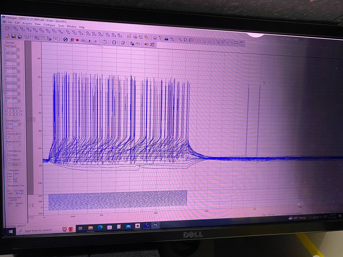 Rob Gereau tweet media