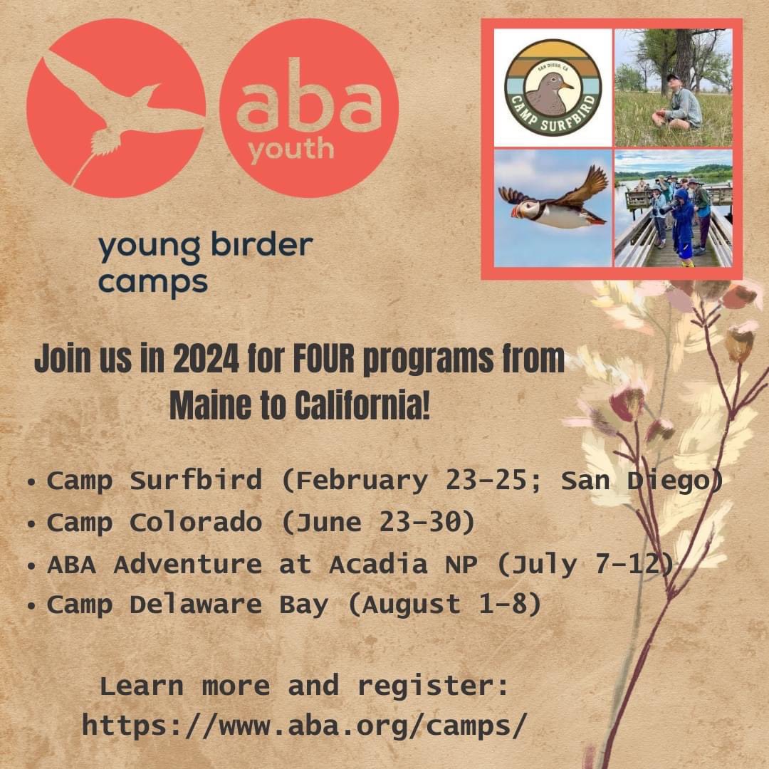 Registration for our 2024 #YoungBirder camps is OPEN! aba.org/camps/