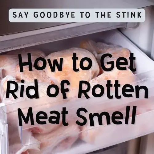 CoetzeeTm's tweet photo. But some of them didn’t listen and kept some of it until morning.
But by then it was full of maggots and
👉had a terrible smell.
#PRECOOKED Meals Must Fall 👩🏻⚖️
#KITCHENS bring #FAMILY
🗣️TOGETHER 💥 https://t.co/FaONKUX1vt