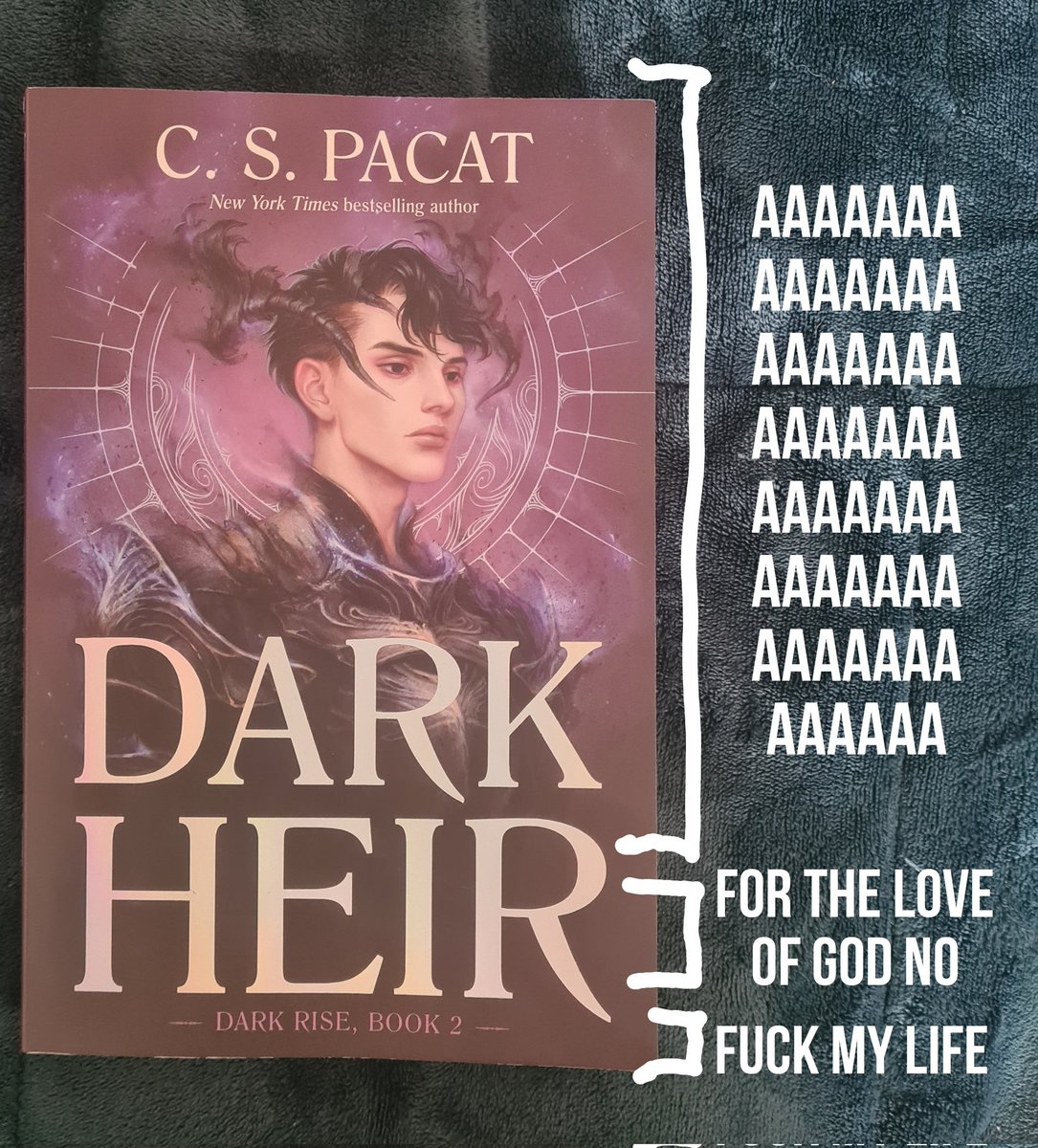 drwter's tweet image. Accurate or...?

#darkrise #darkheir