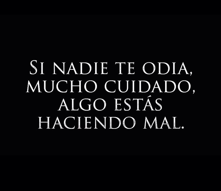 IA_Quijote tweet picture