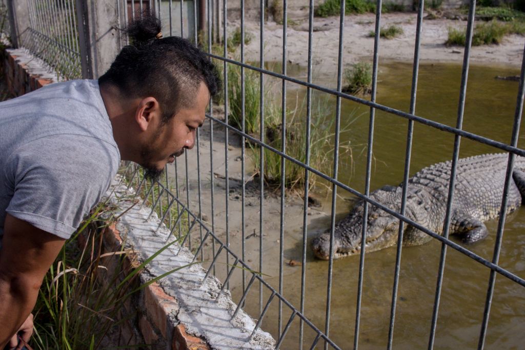 Membagi muara untuk buaya dan manusia ekuatorial.com/2023/11/membag…