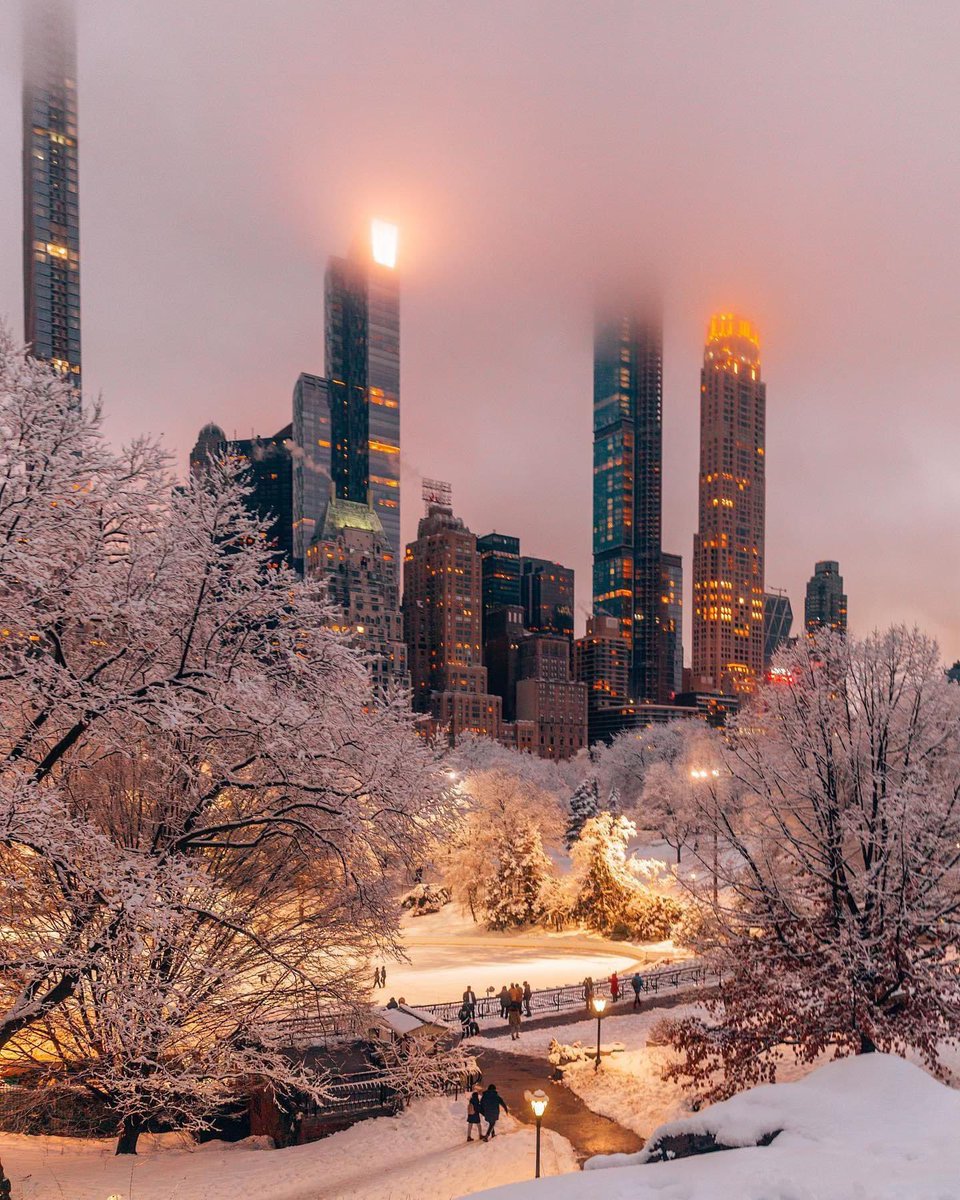 ngoclong1503's tweet photo. Winter In Central Park New York City ,USA!
#America #NewYorkCity #noel2023 https://t.co/QogrWbLYLK