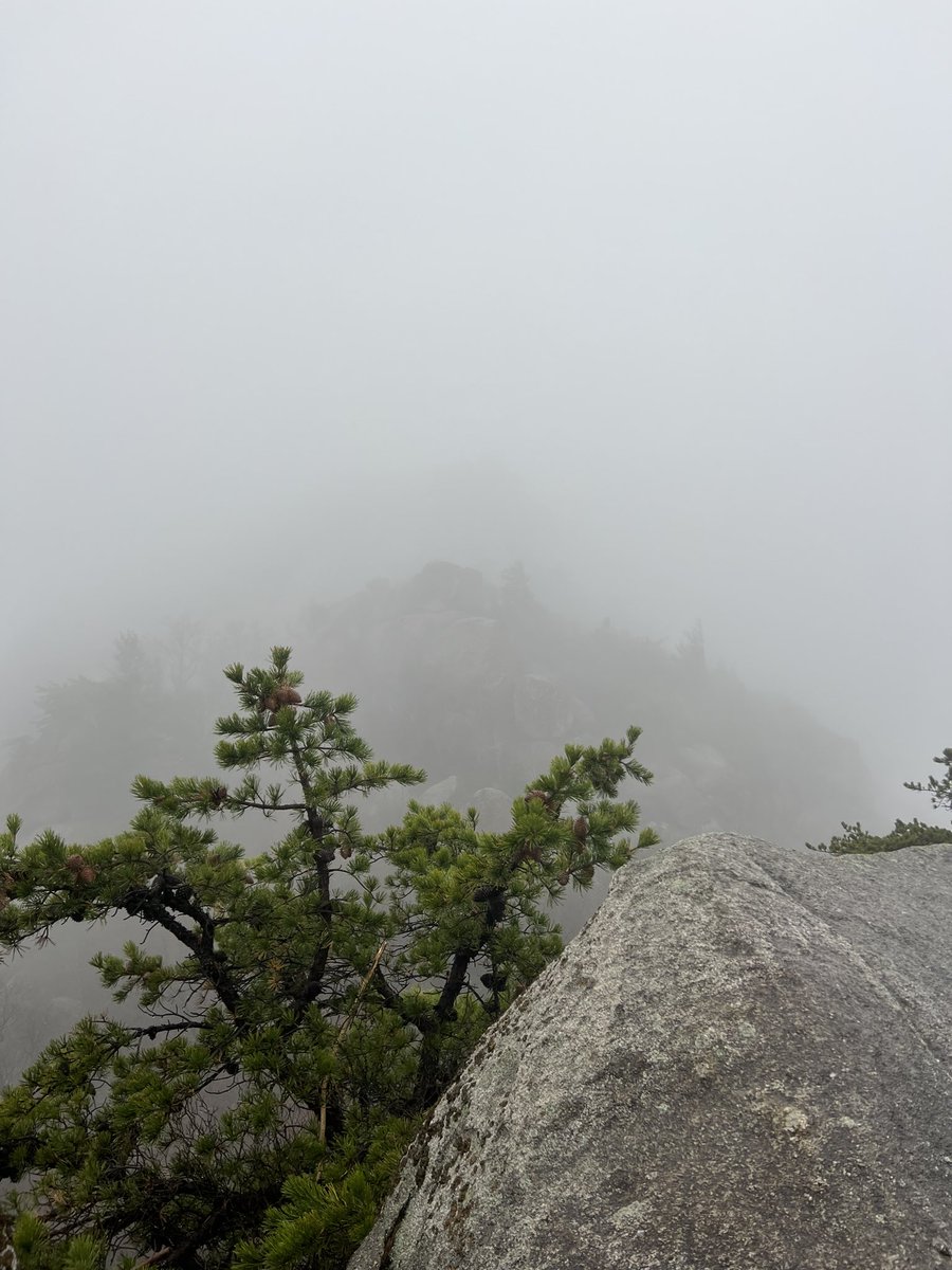 JTrades82's tweet photo. Hope everyone had a good Thanksgiving. Took a break from charts and the market and went on an insane backpacking trip.
I’ve never sought out adrenaline while trading bc I’m extremely physically active and can recognize when I need a break.
Remember psychology is half the battle https://t.co/y0bjD3QHSv