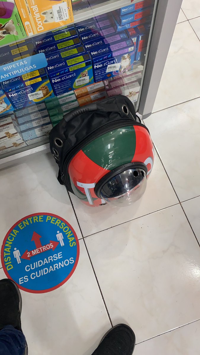 srealpe's tweet photo. Gracias a todos quienes han compartido, aún no encontramos a #Luna qué fue robada en la calle Elia Liut y Edmundo Carvajal, sector del Bosque.  Robada 27 de noviembre a las 18:00 aproximadamente.  Estaba en su mochila transportadora negra roja y verde.  #Luna tiene convulsiones y necesita medicina, estaba en tratamiento cuando fue robada del vehículo. #Gata #Perdida #Quito teléfono 0992297352