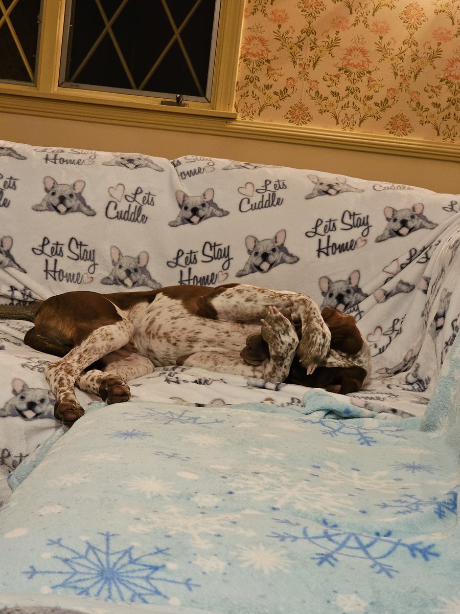 DefectiveAsh tweet media