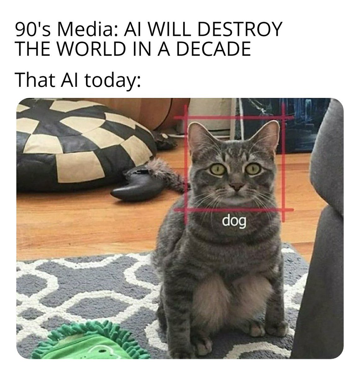 GeneralCattis's tweet photo. You expect me to use something that doesnโt know the difference between a dog and a cat?#HowIWouldUseArtificialIntelligence https://t.co/FDQRpdjE9x