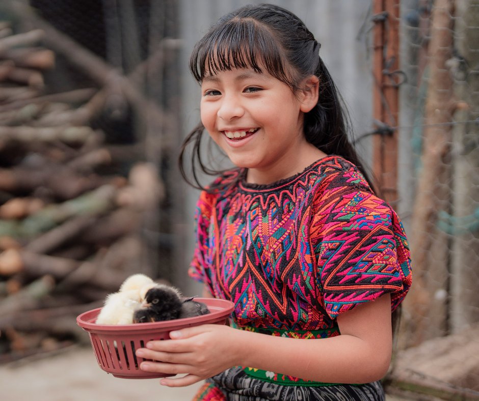 Did you know that a single chicken can provide up to 150 eggs a year for a family?

We're hoping to deliver 250 chickens to 50 families in the village of Santa Cruz del Quiché, #Guatemala to help combat childhood hunger. Please join us in making a difference this #Giving Tuesday!