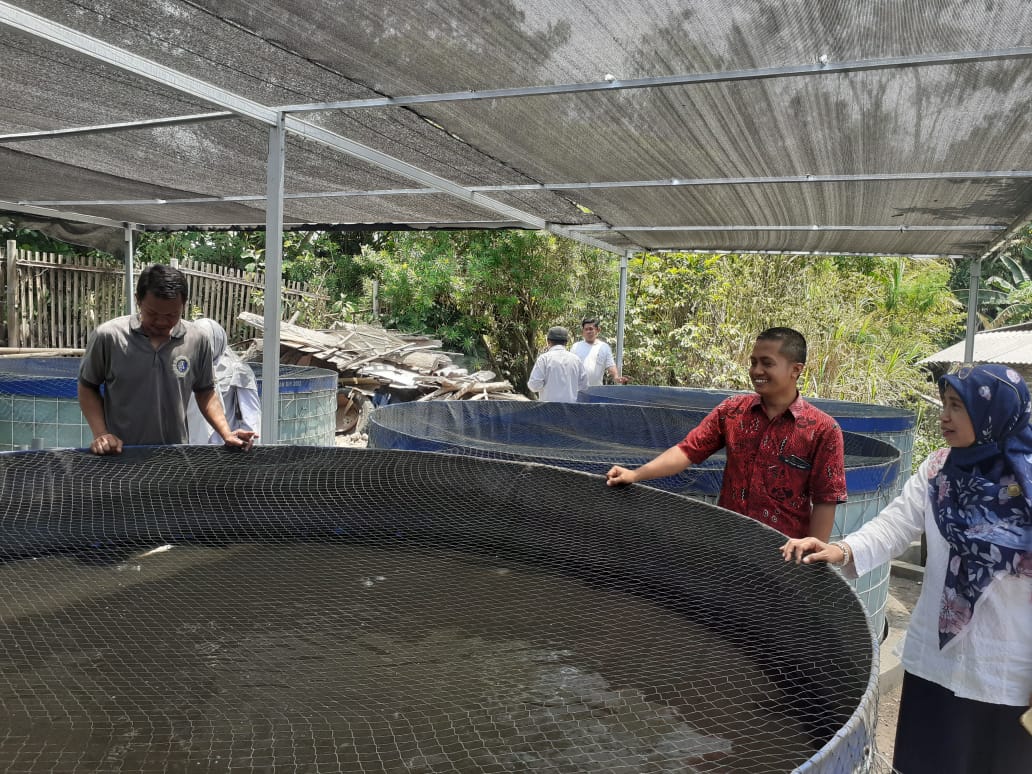ItaWulanH1's tweet photo. Rabu(08/11), Ita Wulan, Luhkan Sleman, mendampingi penyusunan persyaratan pengajuan sertifikasi dan auditor CBIB di Pokdakan Mino Rukun Ds. Ambarketwawang Gamping.
#Giatluhkansatminkaltegal #CBIB #luhlapor @PKBLU_bp3tegal @puslatluhkp @bppsdm_kp https://t.co/8RfpdNyL3l