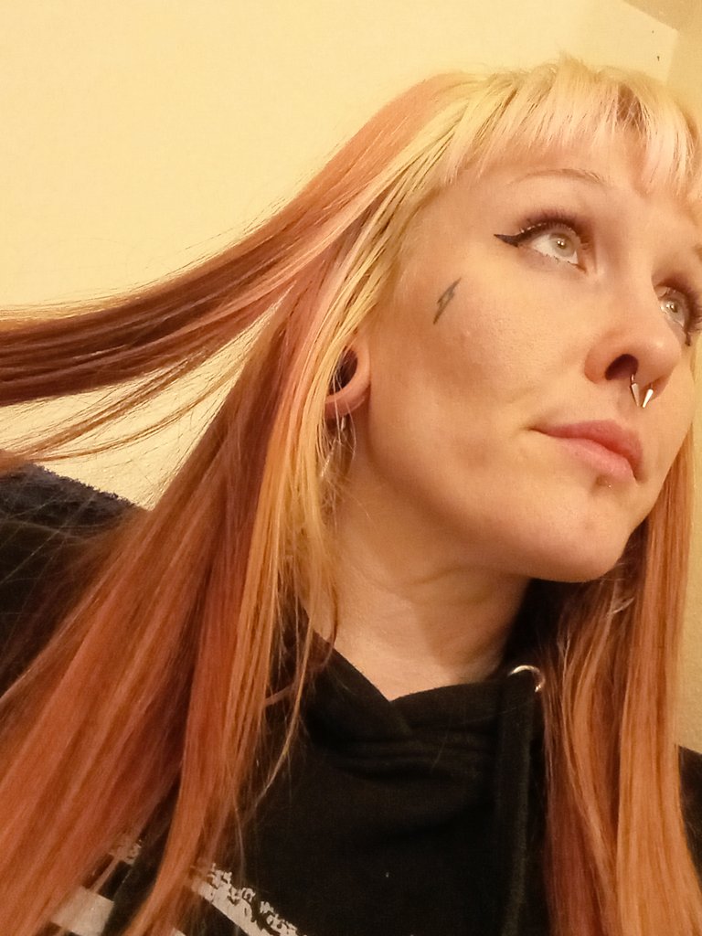 br4ttyb4byk4t's tweet photo. A decent day 🫠 except its 29 degrees like thats soo not okay 🤠
#altgirls #lostgirl #stonerchicks #ganjagirls #egirl #bodymods #girlswhosmokeweed #girlswhodab #potprincess #themisfits #punk #stretchedlobes #gamergirl #gothgirls #inked #spookygirls #makeup https://t.co/QZov5CWJU6