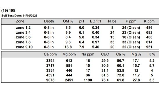 Owen Orsak tweet media