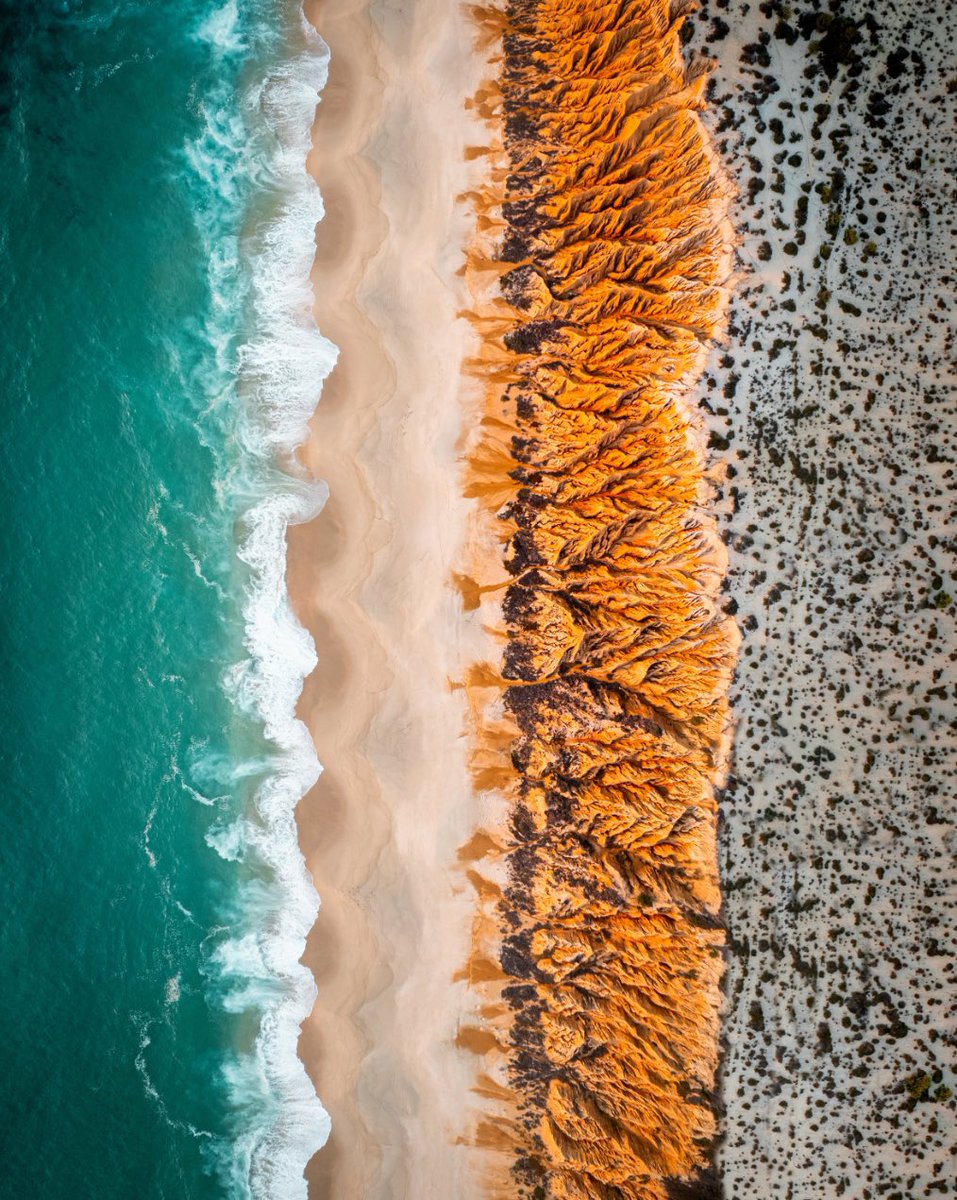 JuicyJulio tweet media