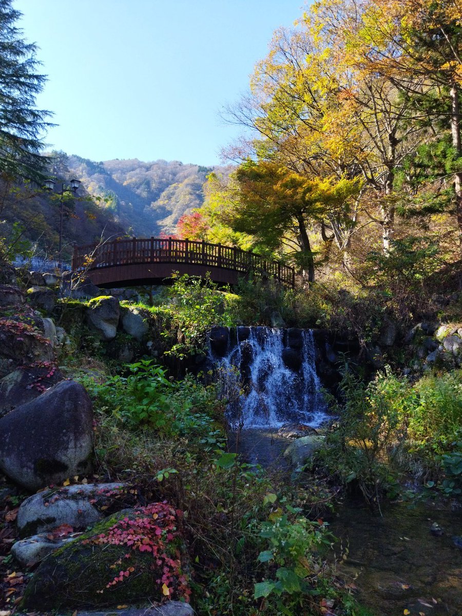Briswell_PR's tweet photo. 2023/11/16 ~ 2023/11/17 で2023年の社員旅行として新潟県の越後湯沢に行きました。

美味しい食事に美味しいお酒！

社員の親睦が深まり楽しい旅行になりました。 https://t.co/0nJgZY8pu4
