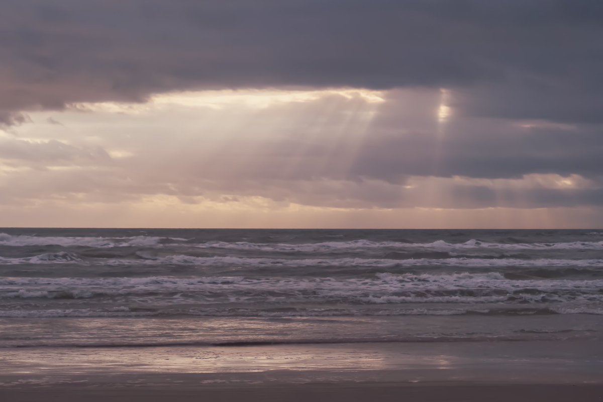 adventuresofkel's tweet photo. For Thanksgiving, the ocean beckoned and I headed to @PadreIslandNPS! It was truly spectacular. I’m not sure I’ve ever watch such a stunning sunrise over the water, sunsets, sure but not a sunrise. Plus Gus’ first time to the ocean! #optoutside #findyourpark #lumix #lumixg9 https://t.co/WgM8Trxwro