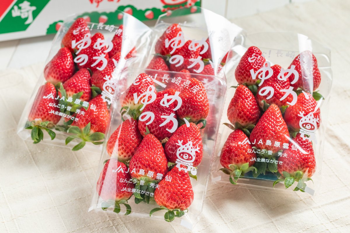 shimabaraekiden's tweet photo. 🎁プレゼント応募🎁
【島原市からのプレゼントです！】
ふるさと納税返礼品でもある、長崎県知事賞受賞の「ゆめのか」4パックを5名様に抽選でお贈りします！
⬇️応募方法⬇️
①@shimabaraekidenをフォロー 
②このツイートをリツイート 
締切：12/3(日)23:59 当選者にはDMにてご連絡します。 https://t.co/ZjVlLQwlKr