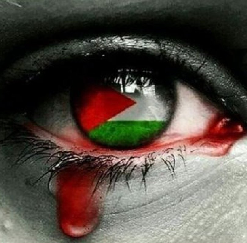 He llorado por ti Palestina 
#ParenElGenocidio