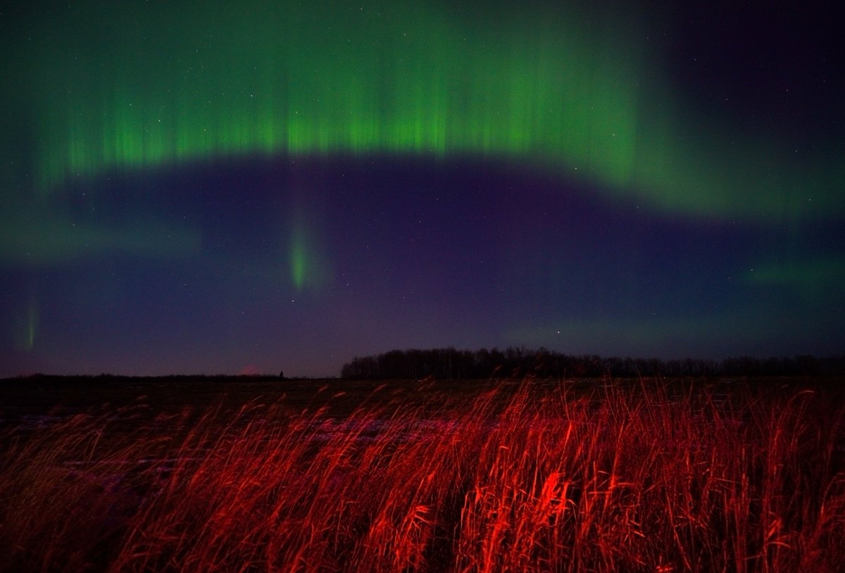 XiandaZhao's tweet photo. I know most of my X connections are enthusiasts of medical content, but I still want to post what I saw during my first vacation after starting residency. Aurora in middle Manitoba, Nov. 24 - 25, 2023 😊😊 Going back to work after the most satisfying photography trip this year😆 https://t.co/0913oYx64M