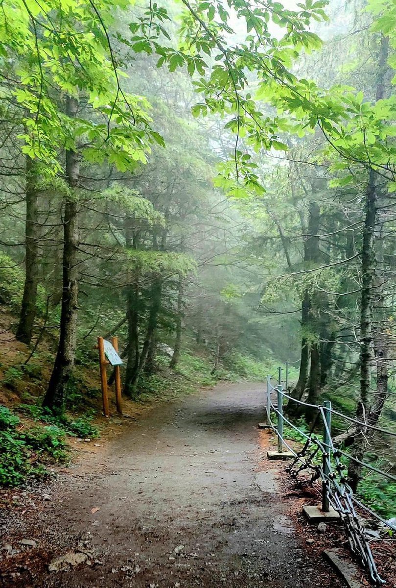 Pipeline Track, Murree 🇵🇰 #BeautifulPakistan