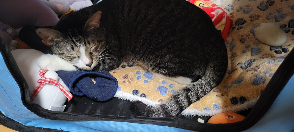 hyunteuk1221's tweet photo. 眠い💤 https://t.co/75vPQFIcev