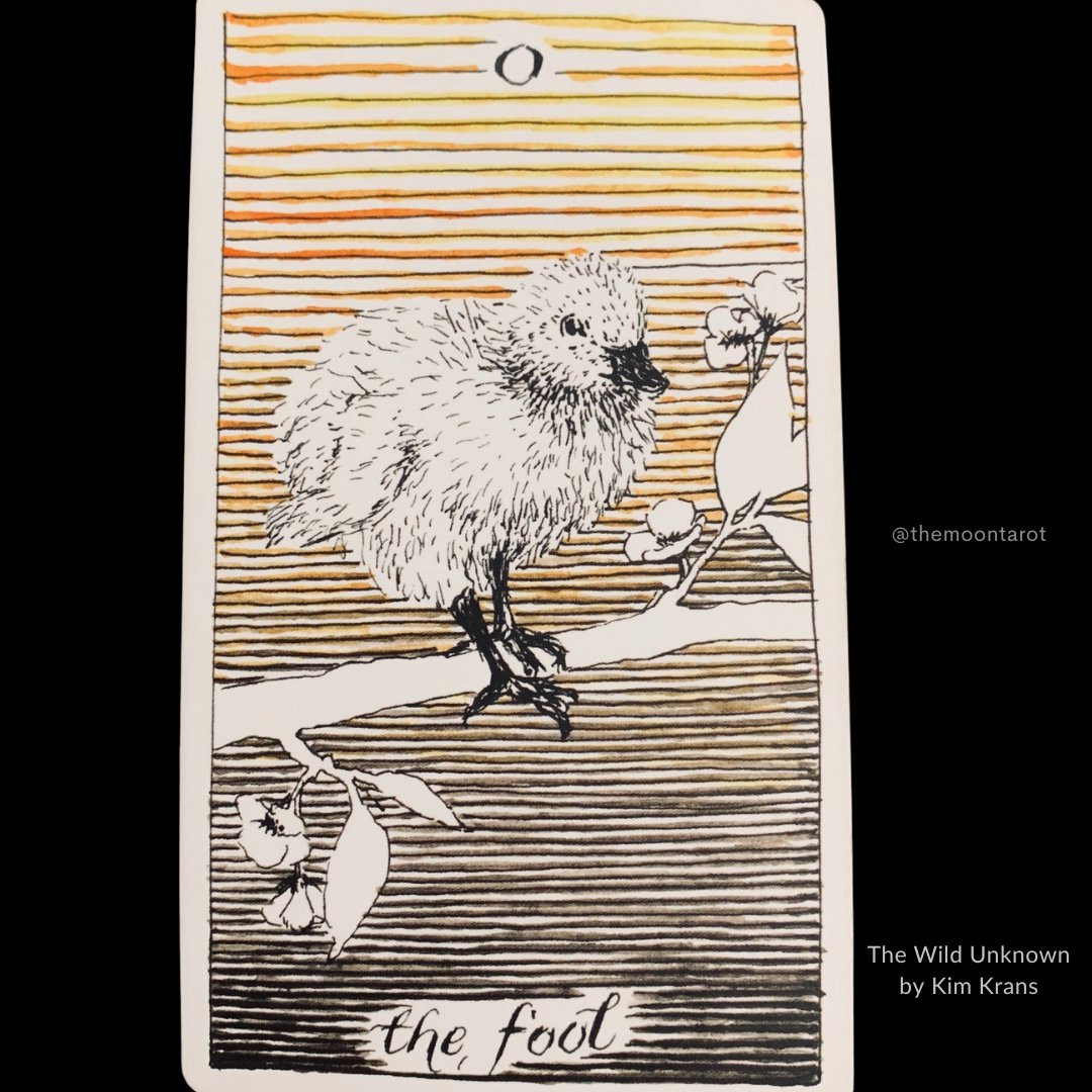 themoontarot_'s tweet photo. Today's Energy Reading: November 28, 2023

You may not be immune to pain, but your curious heart deserves to have another chance.

Love is worth the journey, dear one. https://t.co/MHQPlmeYe4