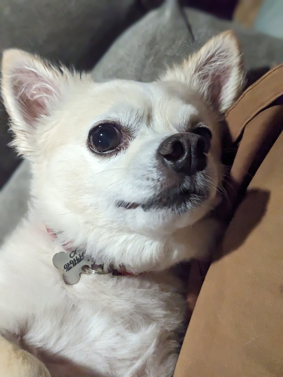 Lee May 🚮 tweet media