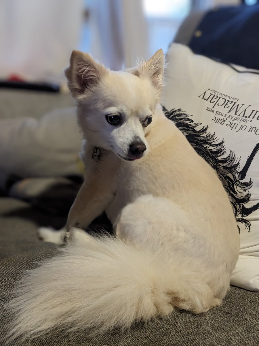 Lee May 🚮 tweet media