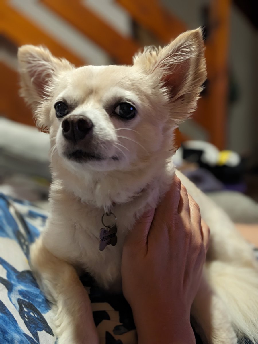 Lee May 🚮 tweet media