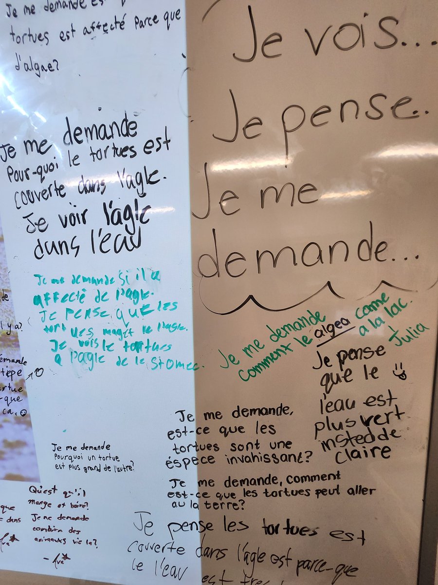 Semee Mirza (@mme_mirza) on Twitter photo Our <a href="/DesmondHDSB/">Viola Desmond Public School</a> 6s used knowledge building to examine the ways in which humans impact our ecosystem. Ss came up with so many 'wonders' that we will be exploring in the weeks to come! #thisisuswhatisourimpact Our <a href="/DesmondHDSB/">Viola Desmond Public School</a> 6s used knowledge building to examine the ways in which humans impact our ecosystem. Ss came up with so many 'wonders' that we will be exploring in the weeks to come! #thisisuswhatisourimpact