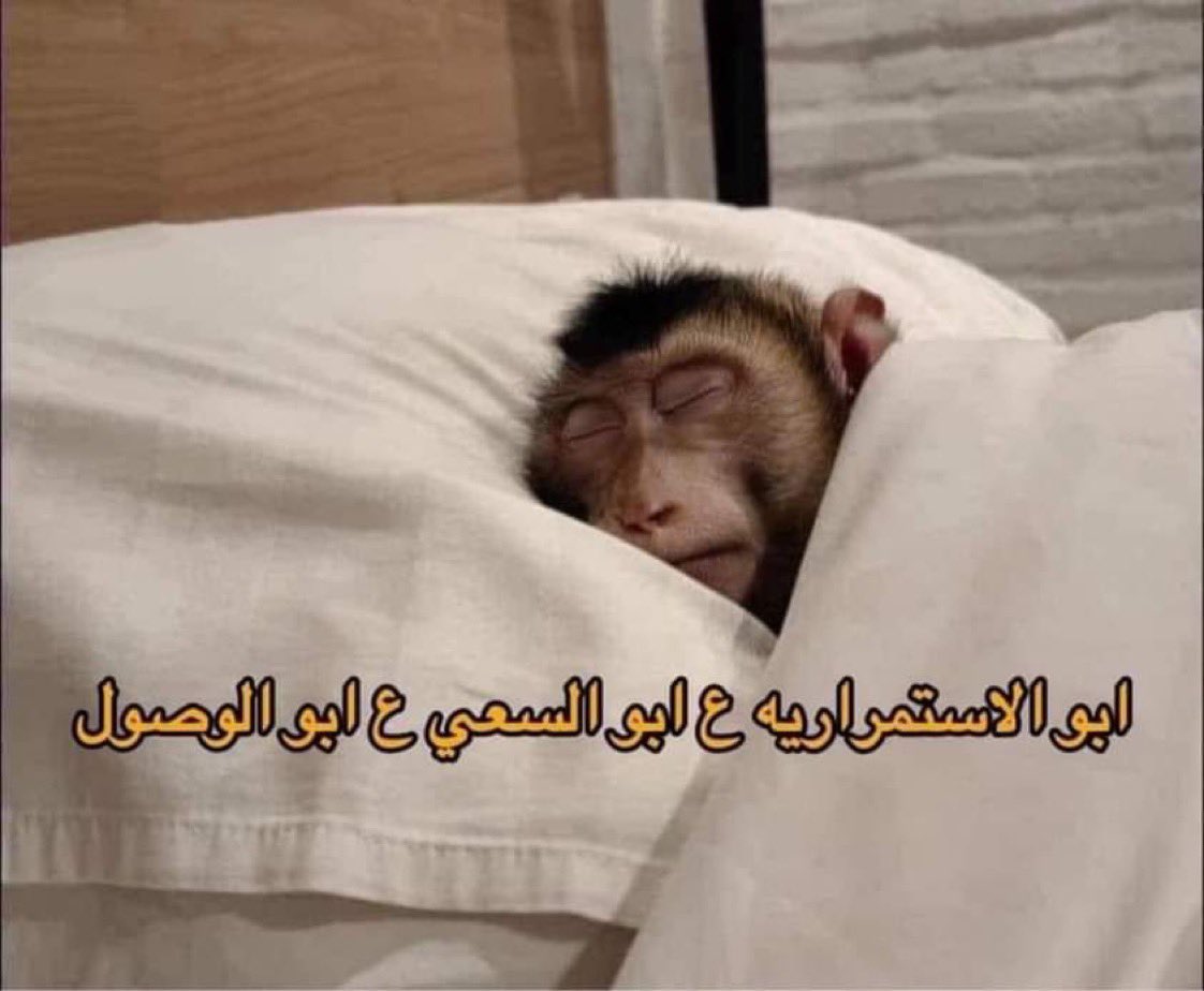 i14nn's tweet photo. الصباح اول ما يرن المنبه https://t.co/627KiTWS0Z