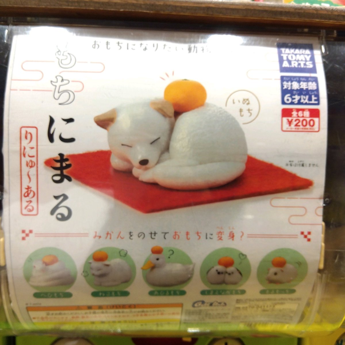 ✨🙌11/28 新商品入荷🙌✨ #タカラトミーアーツ もちにまる りにゅ