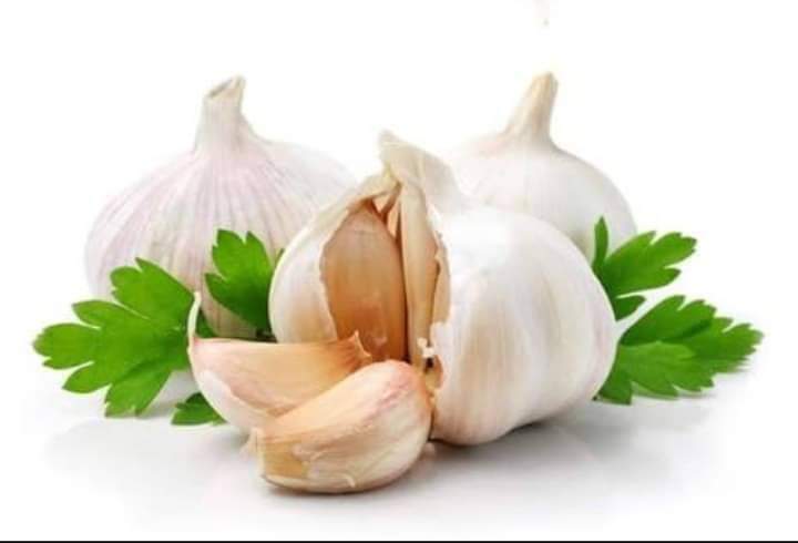MumtazMattab's tweet photo. رسول اللہ صلی اللہ علیہ وسلم نے فرمایا:
میرے پاس فرشتے نہ آیا کرتے تو میں لہسن ضرور کھاتا (کنزالعمال)

لہسن کھانے سے سینہ کا درد ختم ہوتا ہے یہ کھانے کو ہضم کرتا ہے اور پیاس کم کرتا ہے https://t.co/Io642NOYeW