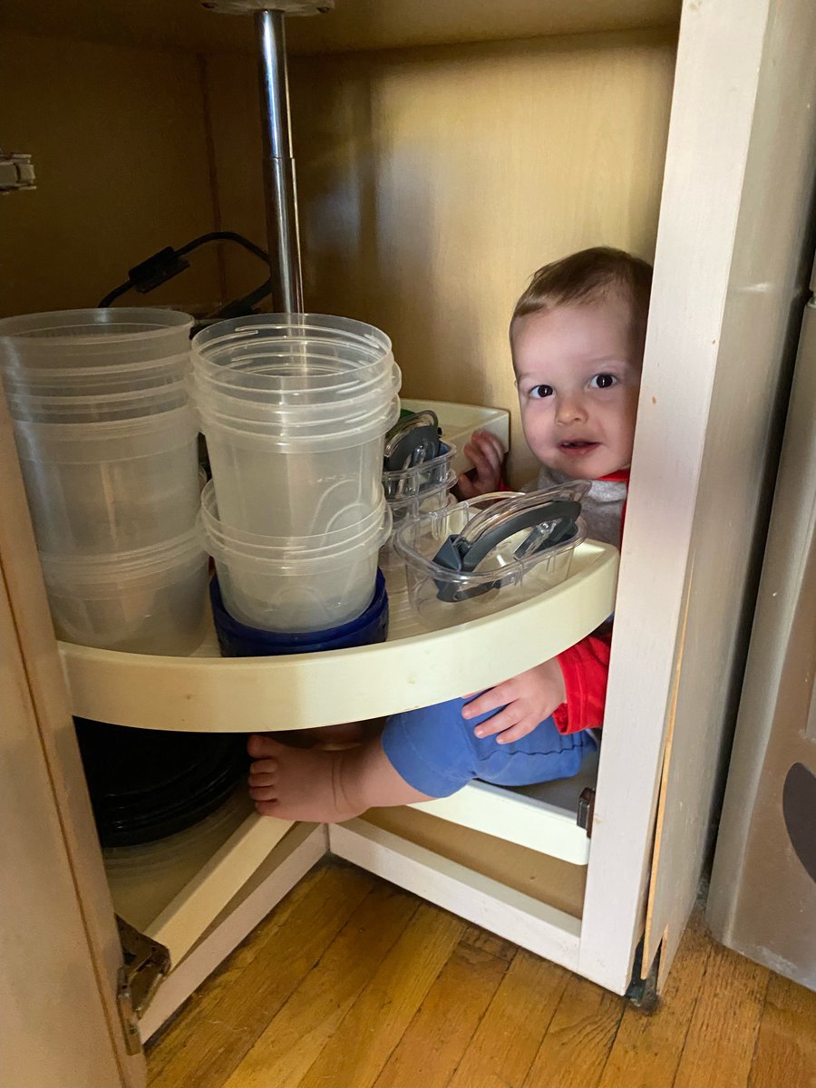 Puptrait's tweet photo. @itsmegangraves Thought our house was haunted for years. But it was just the tiny man who lives in the cupboard. https://t.co/CJmwpHgxTD