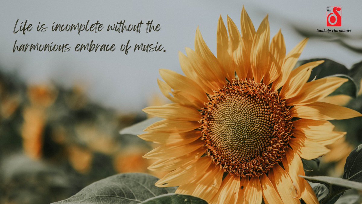 Sankalpharmonie's tweet photo. In the symphony of life, music is the harmonious embrace that completes the melody of our existence. 🎶 ✨
Youtube Channel - https://t.co/Rsky206WJt
#soulfulsound #musicheals #lifecapture #youtubevibes #subscribenow #youtubeadventures #MusicMeditation #youtubemusic #vroomvroom https://t.co/vtXKQuXxJm