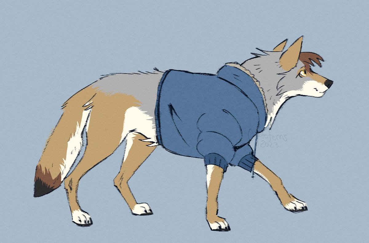 coyoteferns's tweet photo. It's cozy season! https://t.co/1bQuAdc6Mk