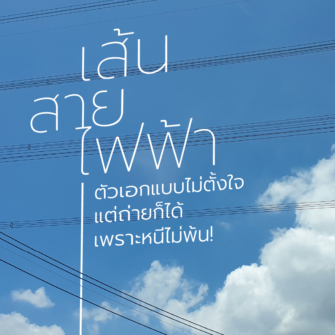 adaymagazine's tweet photo. เคยเป็นไหม อยากถ่ายรูปท้องฟ้า แต่ติดสายไฟฟ้า ไม่รู้จะทำไง ก็ถ่ายติดมันไปซะเลยสิ!

แม้ว่าในใจอยากจะมีซีนถ่ายรูปเมืองคลีนๆ ท้องฟ้าโล่งๆ หรือตึกสวยๆ กับเขาบ้าง แต่สภาพแวดล้อมที่ยืนอยู่ตอนนั้นก็อาจจะไม่อำนวยให้เป็นดั่งใจคิด เพราะสุดท้ายก็มักจะเจอตัวแถมที่ไม่ได้ตั้งใจอย่าง ‘สายไฟฟ้า’ ก่อกวนทุกรูปไป เส้นสายสีดำยาวๆ ที่พาดผ่านไปทั่วทั้งเมือง รวมถึงบางทีสายไฟฟ้ายังพัวพันกลายเป็นจุดเด่นของภาพอีกต่างหาก

หากใครเจอสายไฟฟ้า เจ้าตัวโฟโต้บอมบ์ที่ไปอยู่ในรูปคุณก็เอามาอวดกันได้นะ ว่ามีใครให้มากกว่านี้ไหม!

ภาพ: อิษฎา จิรโสตติกุล, สโรชา นุสธรรม

#aday #photostories #สายไฟฟ้า