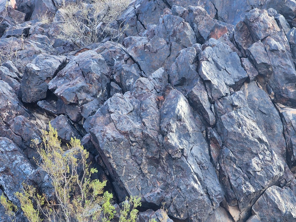 HobbesCaltous's tweet photo. @shinyeevee27 and I climbed a mountain. We also let the world know we made it to the top! #hmods https://t.co/0OalL5lbpW