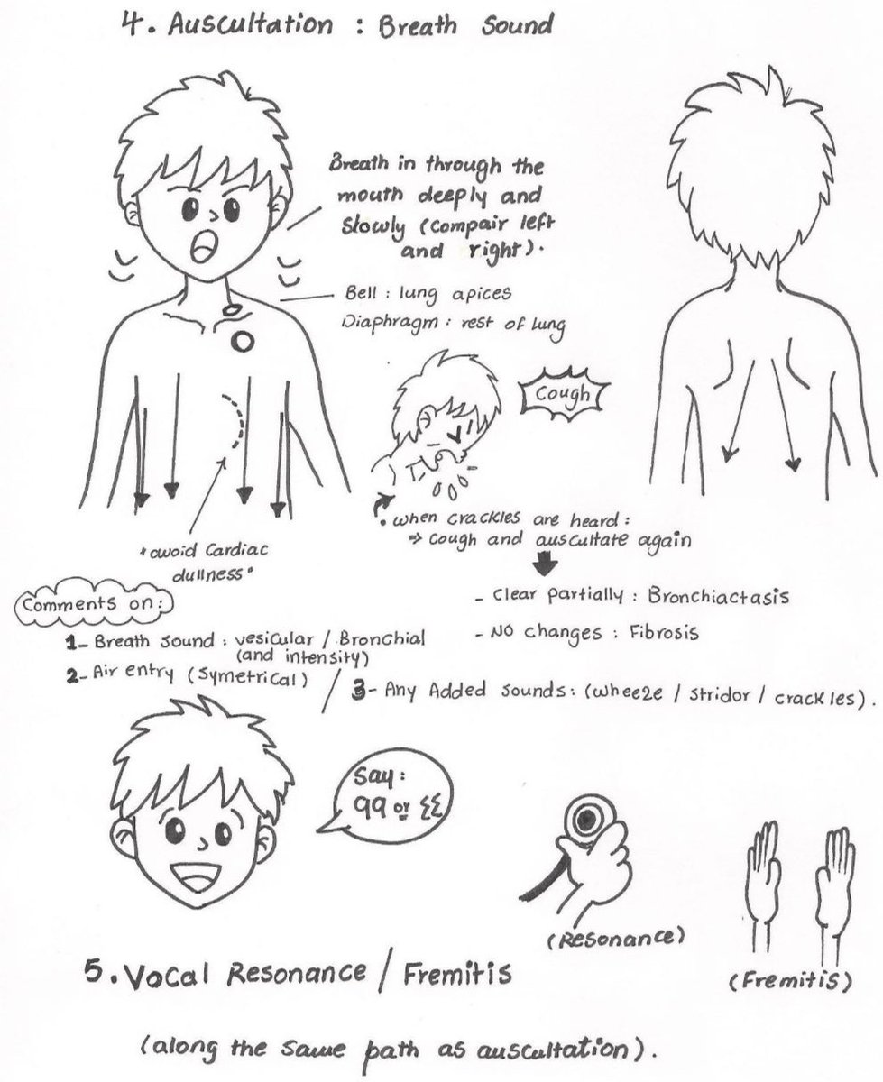 Medical_MD1's tweet image. Great Recap  ✨

Respiratory Examination 🤩🫁

.